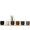 3D Vase Cloe Orchid Pot, Herb Pot, Planter, Shatterproof, Sustainable,