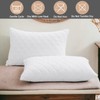 LSC Waterproof Pillow Protectors 2 Pack Quilted Ultra Soft Anti
