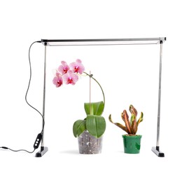 rePotme Lumina Expanse - Grow Light for Indoor Plants - Full Spectrum LED Plant Light, No Tools Required (Black)