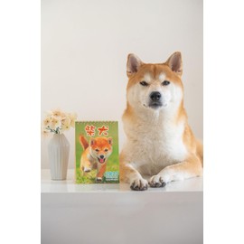Shiba Inu Desktop Calendar 2025 with Cute Shiba Dog Puppy and Japanese Seasonal Backgrounds Pictures, US Holidays & Observances, Monthly Calendar