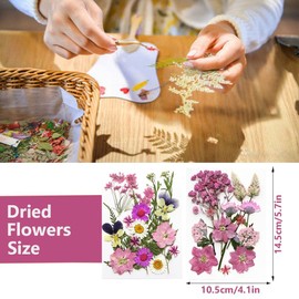 GUTLIVTAG Dried Pressed Flowers, Natural Pink Dry Pressed Flowers for Craft Bulk, Small Real Flowers Leaves Set for Resin DIY Art Scrapbooking Jewelry Candle Soap Making Supplies (Pink)