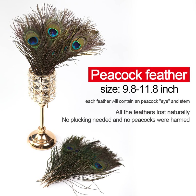 12pcs Beautiful Natural Peacock Feathers 25-30cm for DIY Wedding Holiday