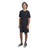 Hurley Boys' Soft Basic T-Shirt, Black Heather