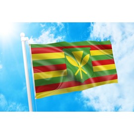 DMSE Kanaka Maoli Hawai’i Hawaii King Kamehameha Native Hawaiian Flag 2X3 Ft Foot 100% Polyester 100D Flag UV Resistant (2' X 3' Ft Foot)