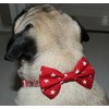 New Dog Bow Tie Stars Bowtie RED Cotton Elastic Band
