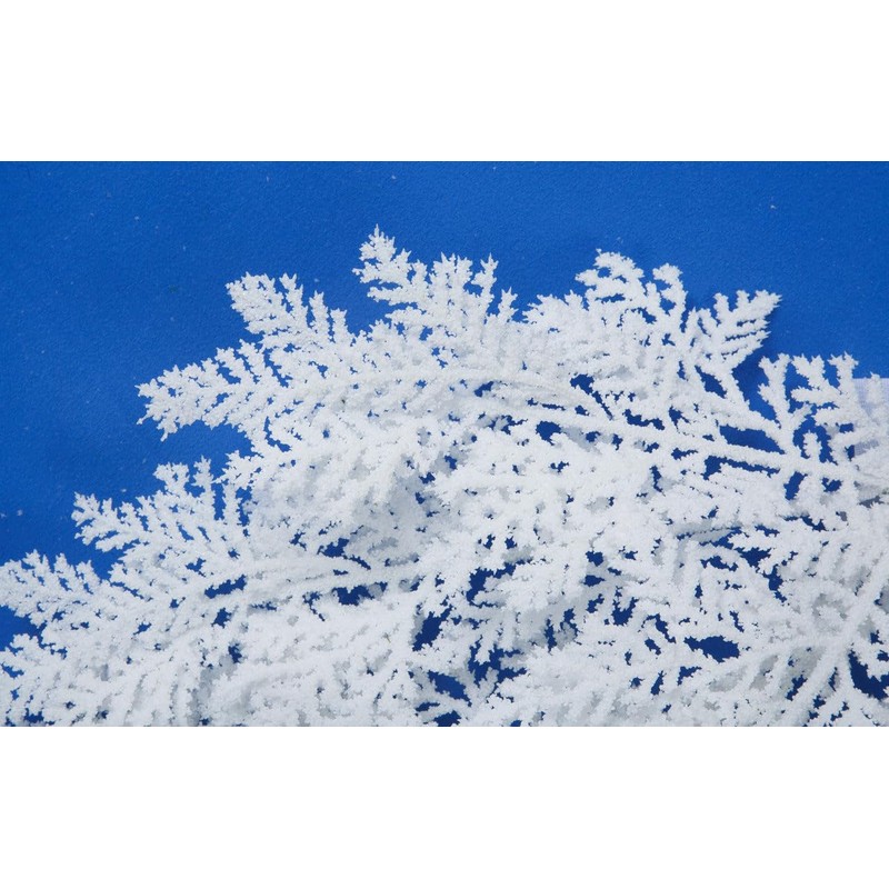 SilksAreForever 22" Flocked Artificial Cedar Stem -White (Pack of 36)