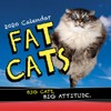 2020 Fat Cats Wall Calendar: Big Cats. Big Cattitude.