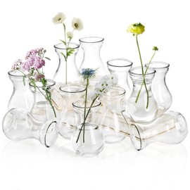 ZOOFOX Set of 12 Glass Bud Vases for Centerpieces, Small Clear Vase for Flower, Glass Bud Vases in Bulk, Cute Tiny Flower Bulb Plant Containers for Home Decor, Wedding Party Table Centerpieces