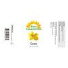 Sun Essential Oils 4oz - Cassia Essential Oil - 4
