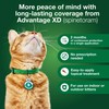 Advantage XD Large Cat Flea Prevention & Treatment For Cats