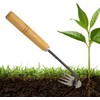 Weeding Tool, Weeding Lawn Weed Removal Tool, 4 Claws, Weed
