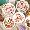 5 Sets Fall Embroidery Kit for Beginners Adults Embroidery Starter