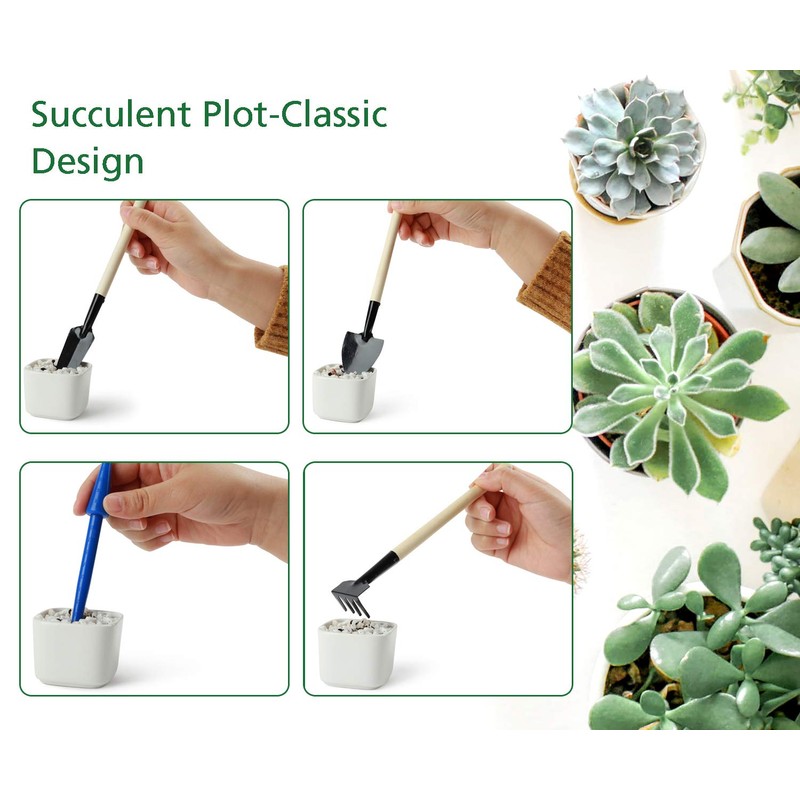 G GOOD GAIN Garden Succulent Kit with Organizer Bag, 14