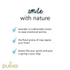Pukka Herbs | Joy Organic Herbal Tea Box | Lemon,