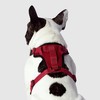 Canada Pooch Everything Dog Harness No Pull Adjustable Dog Walking