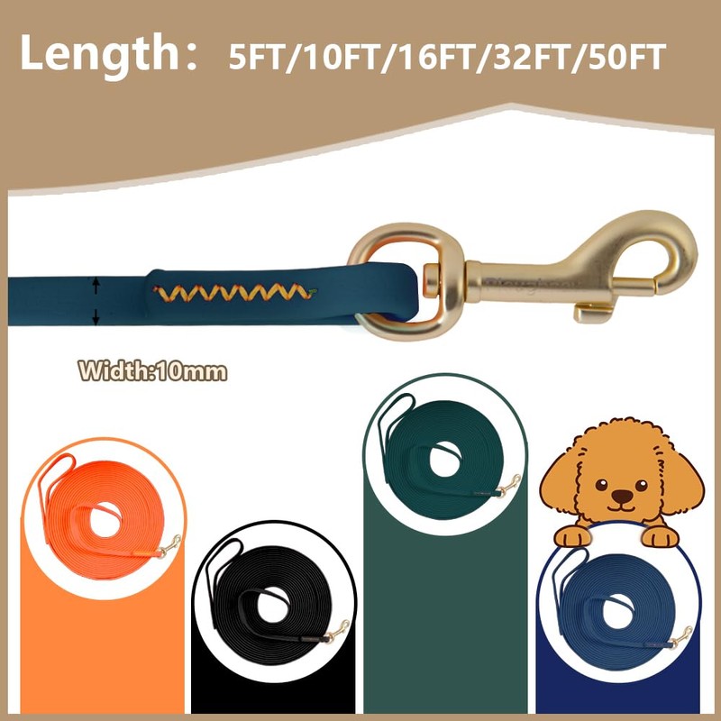 10 mm Waterproof Dog Leash, Long Training Lead for Dogs