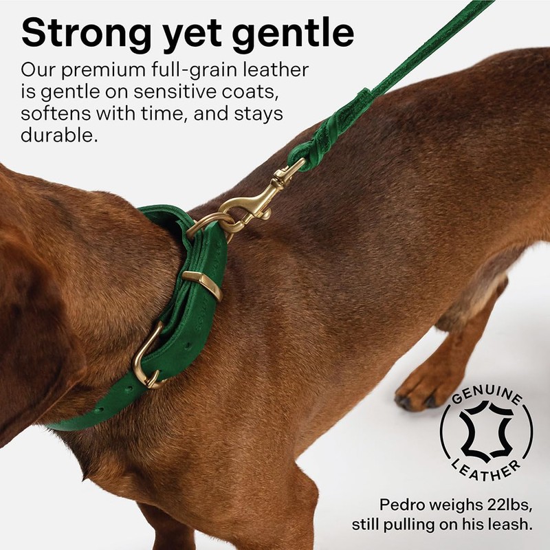Scout Supply Classic Leather Dog Leash | Strong Heavy Duty