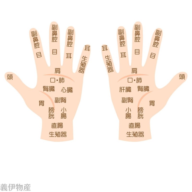 Massage Stick, Natural Wood, Acupressure Pole, Lymph, Compact Size, Made