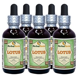 Lotus, Xi Xin (Nelumbo Nucifera) Dried Stem Alcohol-Free Liquid Extract (Brand Name: HerbalTerra, Proudly Made in USA) 5x2 oz