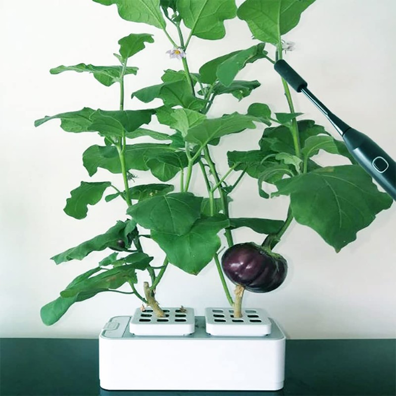 iDili Electric Tomato Pollinator Eggplant Pepper Flowers Automatic Pollination Machine