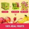 BOB SNAIL Healthy Fruit Snacks for Kids and Adults –
