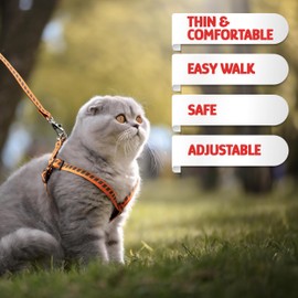 Filbert Cat Harness and Leash Set with Reflective Strip, Cat Harness Escape Proof w/Cat Leash, Step-in Adjustable Travel Harness for Cats, Indoor Outdoor Cat Harness, Easy-to-Put-On Kitten Harness