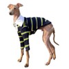D DOGGY STAR - playera elástica con cuello para perros