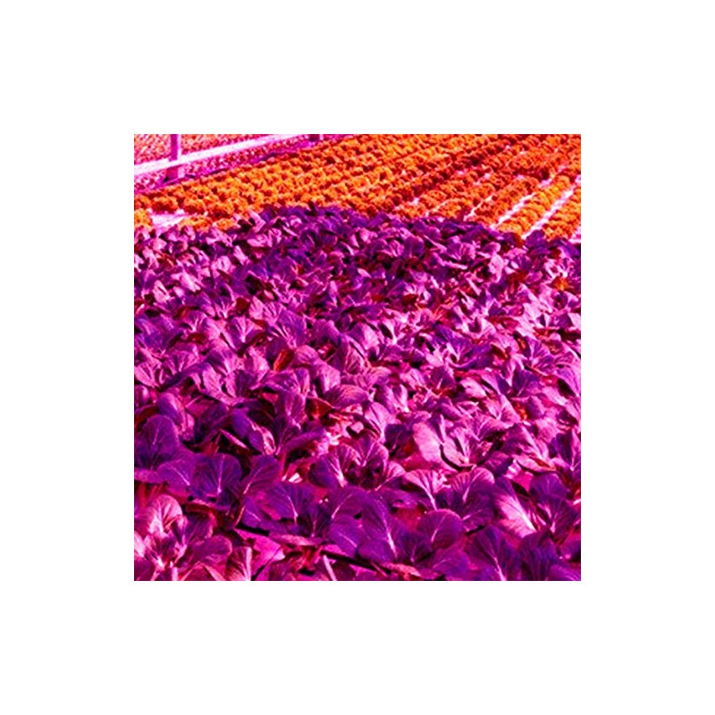 Peakloong LED Grow Light Full Spectrum 5V USB Grow Light