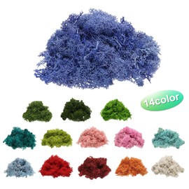 uxcell Preserved Reindeer Moss, 4oz Purple, Pack of 1, Artificial Moss for Crafts, Decoration, Terrariums, Potted Plants, Centerpieces, Fairy Gardens