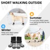 PUPTECK Anti Slip Dog Socks, Shoes with Grippers to Prevent