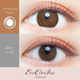 【新色】 エバーカラーワンデーナチュラル20枚入／モイストUV 【アプリコットブラウン】 -0.50
