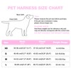 Feycig Dog Harness for Small Dogs, Anti-Pull Adjustable Reflective Harness,