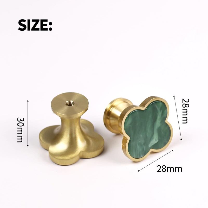 EVERGD 27mm Pure Copper Handle Shell Brass Gold Wardrobe Kitchen