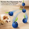 Funcupri Speedy Tail 2.0 Cat Toy, Interactive Cat Ball for