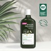 Avalon Organics All Natural Dandruff Therapy Shampoo, 11 Fl Oz