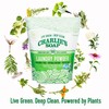 Charlie’s Soap Laundry Powder (100 Loads, 3 Pack) Hypoallergenic Deep
