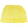 arena (ARN-13) Swim Cap, Mesh Cap, FINA Approved YEL (S)