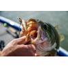 Harmony Fishing - Razor Series Underspin Swimbait Hooks (4 Pack