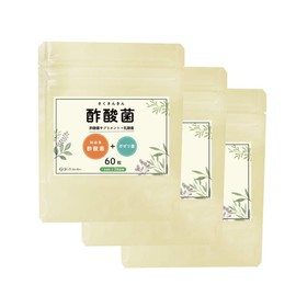 酢酸菌サプリ 酢酸菌サプリメント＋乳酸菌 3個セット