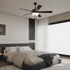 Edvivi 52 in. LED Ceiling Fan with Lights and Remote