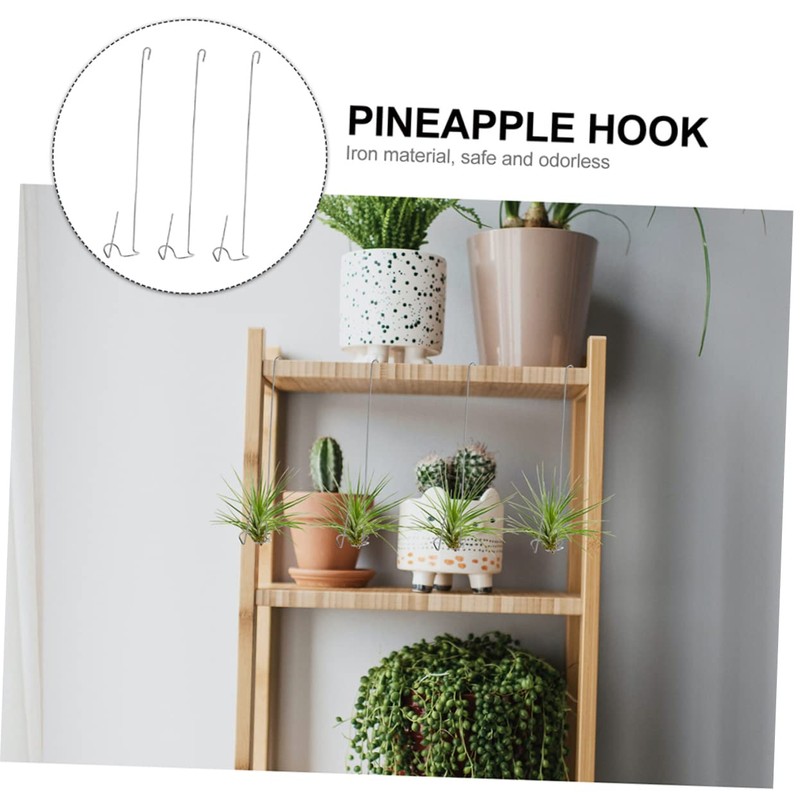 BESPORTBLE 3pcs Air Plant Holders Practical Tillandsia Hanging Hooks for