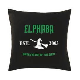 Hippowarehouse Elphaba wicked witch of the west Printed bedroom accessory cushion cover case 41x41cm