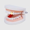 Grillz Gold Tooth Cap,18K Gold Silver Plated Grillz,Hip Hop Teeth