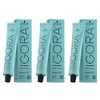 Schwarzkopf Igora Royal 10-1 Set 3 x 60ml
