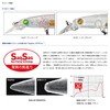 DAIWA Ajing, Mebaling, Tsukishita Bijin, Ren Z Keimura Hori Sardine,