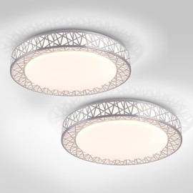 ASD 20 Inch LED Flush Mount Ceiling Light - Modern Brushed Nickel Ceiling Light Fixture 42W 2474LM, 2700-5000K Adjustable Large Ceiling Lights for Kitchen, Bedroom, Hallway, Closet, ETL 2 Pack