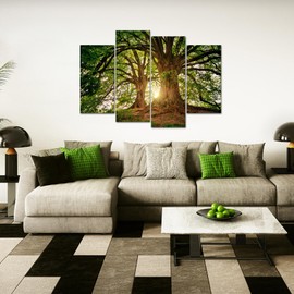 RnnJoile Big Tree Canvas Wall Art Green Tree Morning Sunlight Pictures Prints for Wall Decor Modern Nature Room Decoration Framed