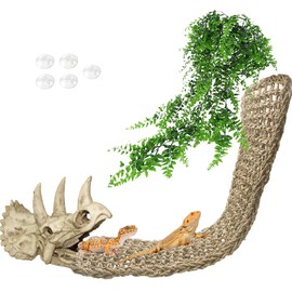 Tfwadmx Bearded Dragon Tank Accessories,Resin Dinosaur Triceratops Skull Lizard Hammock Reptiles Habitat Hideout Cave for Lizard Chameleon Snake Spider Frog Gecko