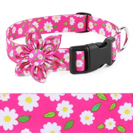 Daisy Pink Dog Collar Cute Dog Collars with Flower Bow for Small Medium Large Dogs Hot Pink Floral Colored Options Soft and Fancy Pet Collars for Girls Flower Pattern for Girl Dog Collar