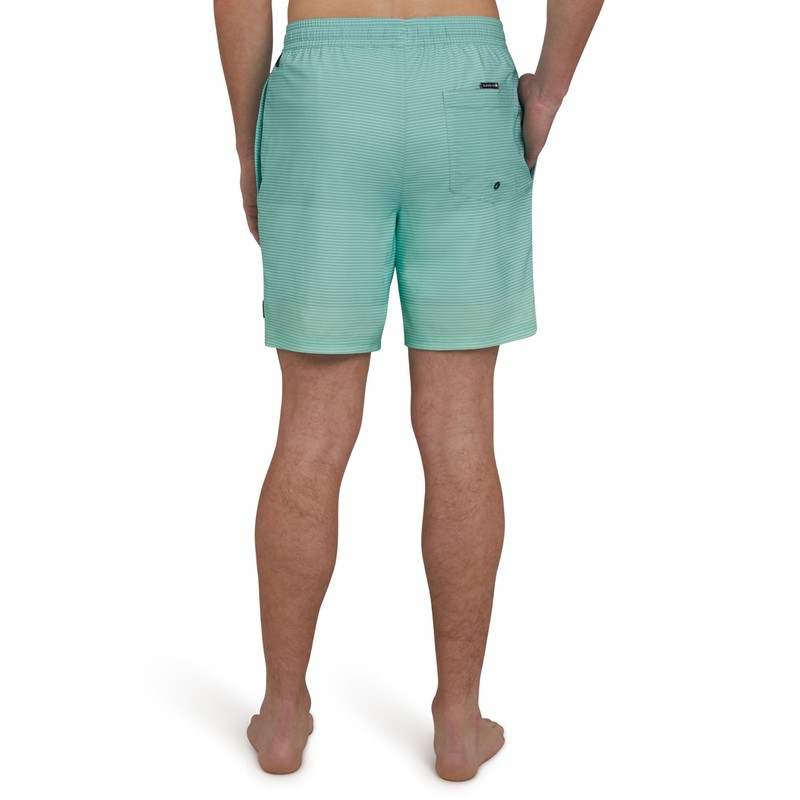 Quiksilver Men's Swimwear Regular Fit Stretchable Comfort Liner Swim Trunks